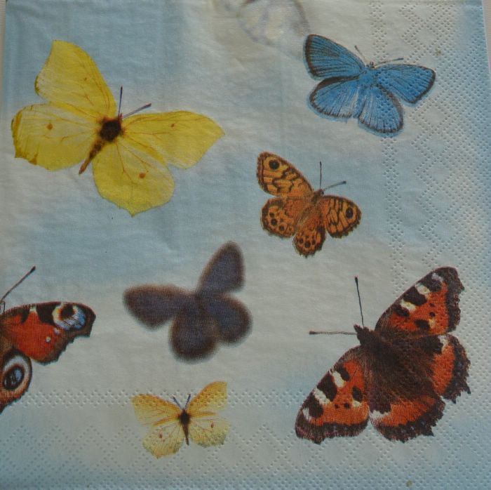 Ubrousek 33x33 cm - motýli modrá