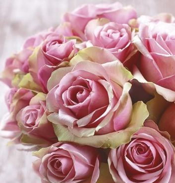 Ubrousek 33x33 cm - Elegant roses