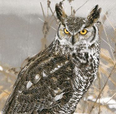 Ubrousek 33x33 cm - Winter Owl