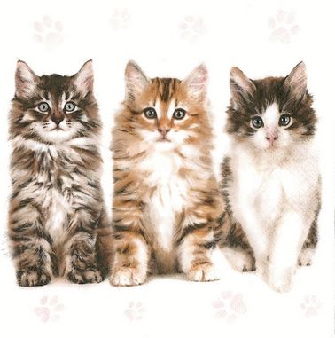 Ubrousek 33x33 cm - Three Beautiful Cats