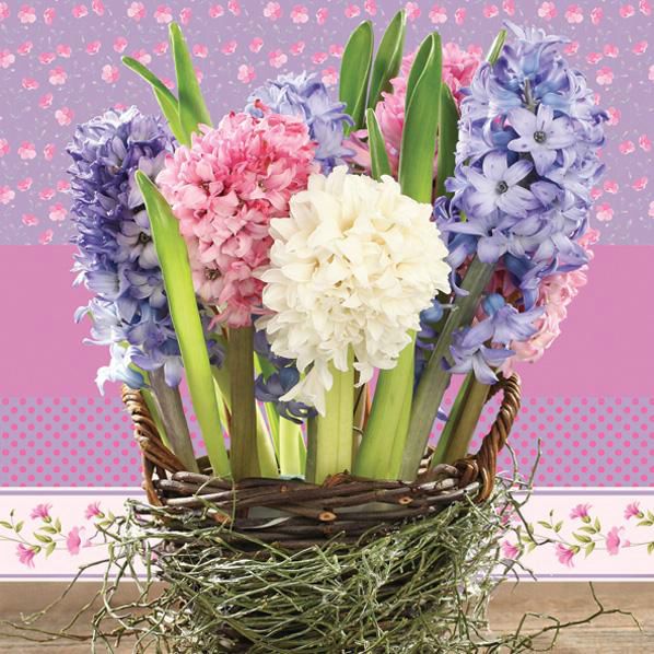 Ubrousek 33x33 cm - Hyacinths in a Basket