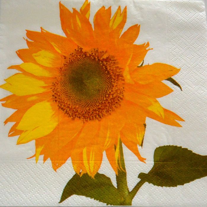 Ubrousek 33x33 cm - slunečnice-bílá