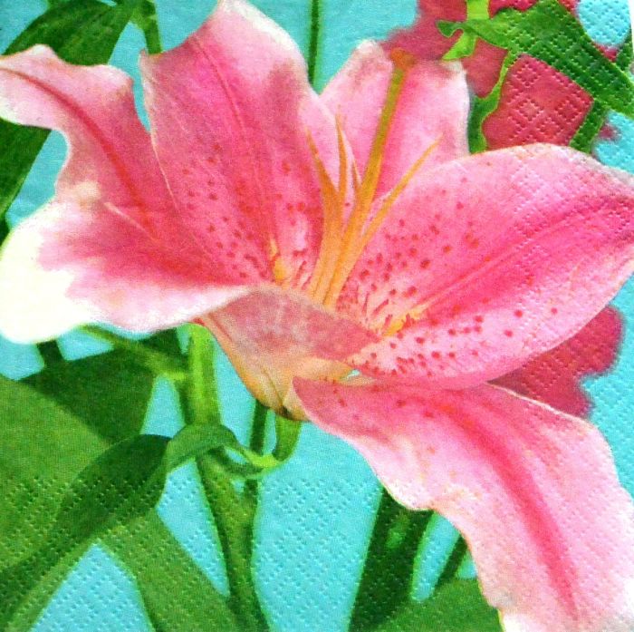 Ubrousek 33x33 cm - lilie-růžový květ