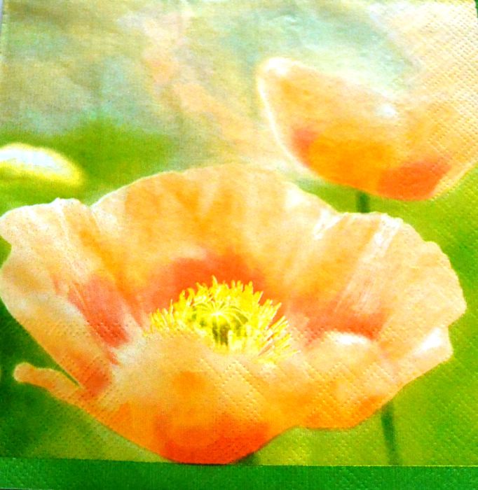 Ubrousek 33x33 cm - oranžové květy