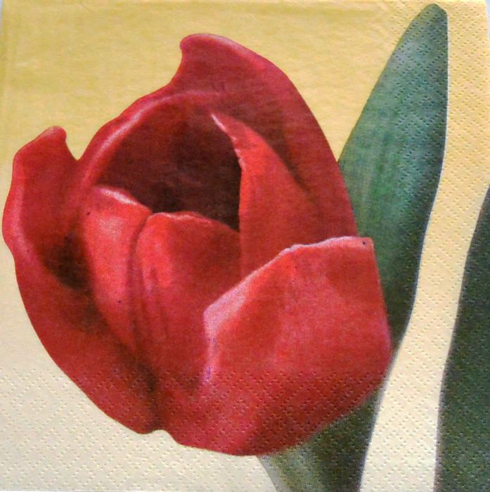 Ubrousek 33x33 cm - tulipán-žlutá
