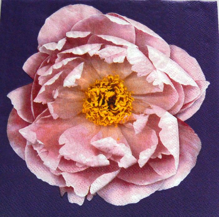 Ubrousek 33x33 cm - růžový květ
