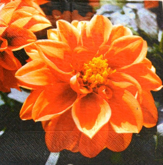 Ubrousek 33x33 cm - oranžový květ