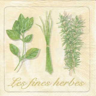 Ubrousek 33x33 cm - herbes