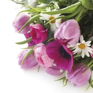 Ubrousek 33x33 cm - Pink bouquet