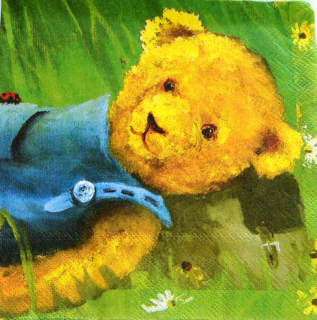Ubrousek 33x33 cm - medvědí kluk ležící
