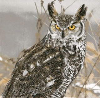 Ubrousek 33x33 cm - Winter Owl