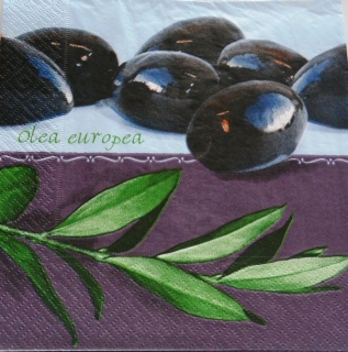 Ubrousek 33x33 cm - olivy - fialová