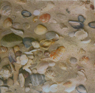 Ubrousek 33x33 cm - mušle na písku