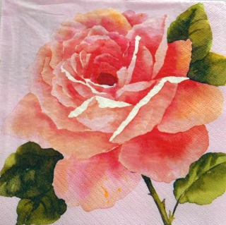 Ubrousek 33x33 cm - velký květ růže - růžová